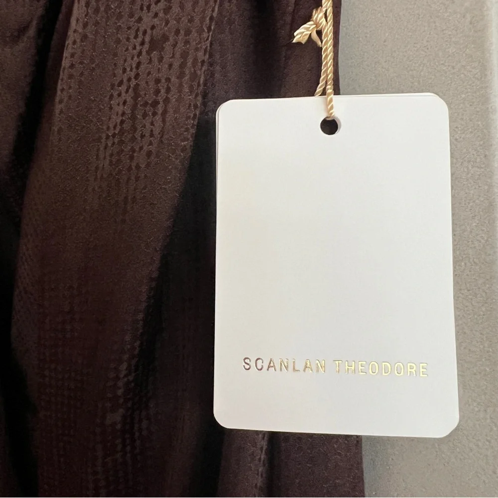 Scanlan Theodore Silk Dress in Chocolate Brown - Picture 5 of 9
